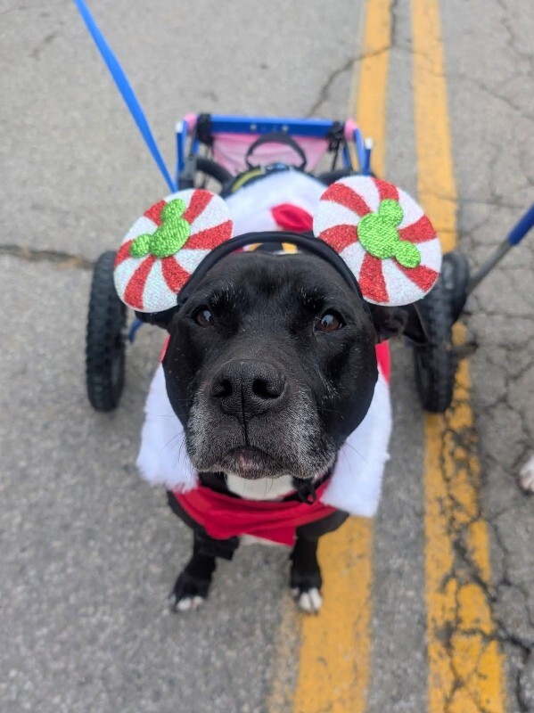 Learn More About Tamiami 1000027682