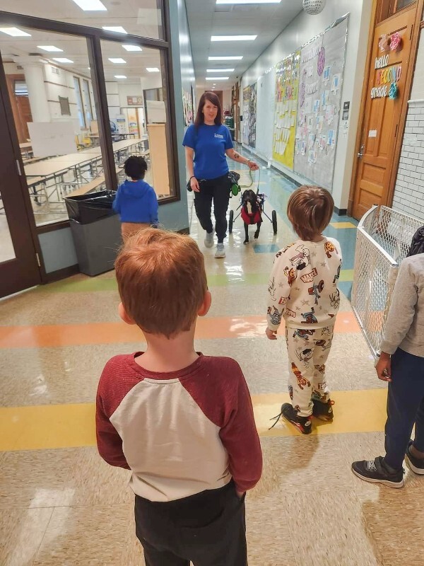 View Tamiami the Dog Photo #13