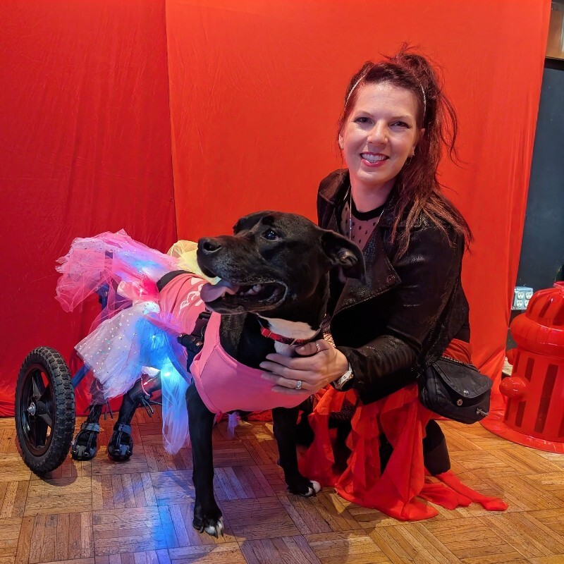 View Tamiami the Dog Photo #15