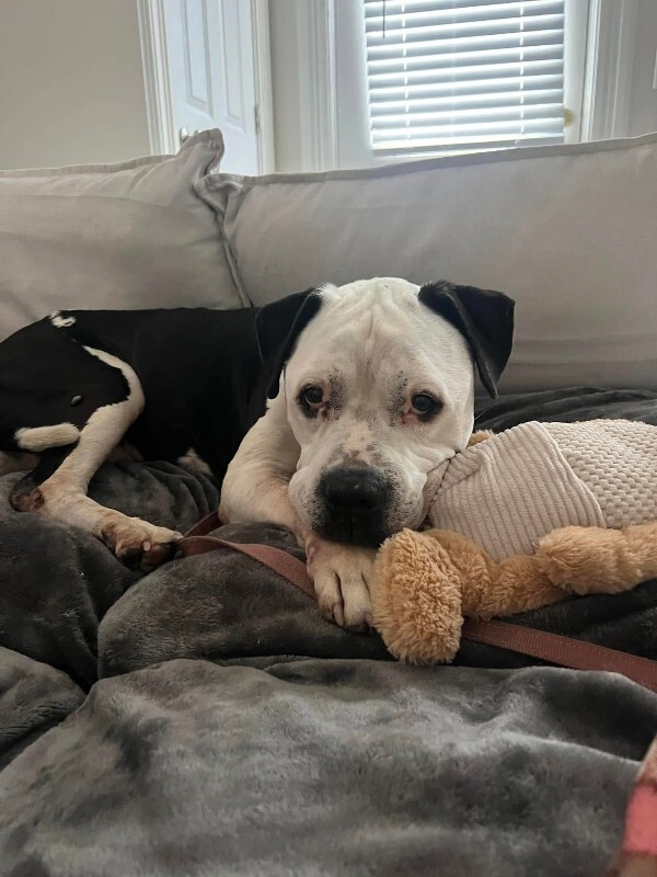 511261213 9879411908844176 8911585408561093441 n