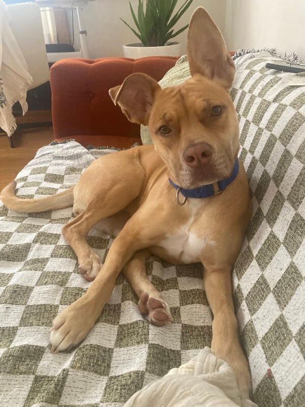 594959285 10228232165735387 511200975586937311 n