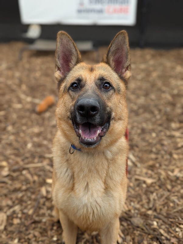 PXL 20251227 170929118.PORTRAIT