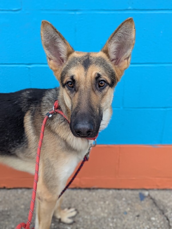 PXL 20251227 151824315.PORTRAIT