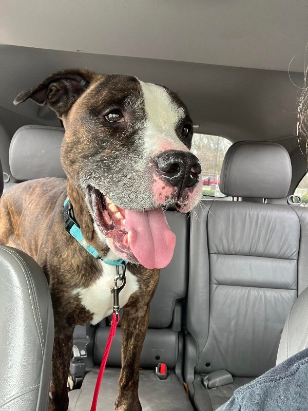 504251629 2843349155836336 3804660512882523093 n