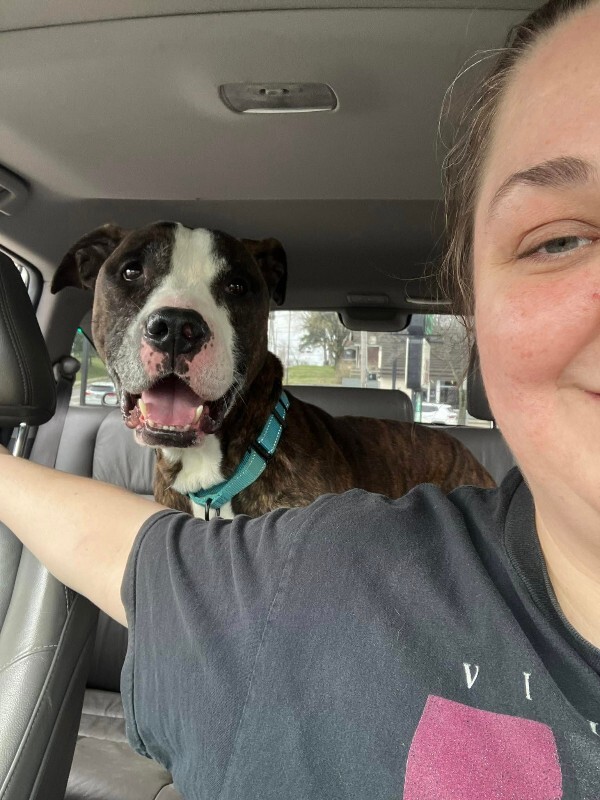 View Cousin Randy the Dog Photo #4