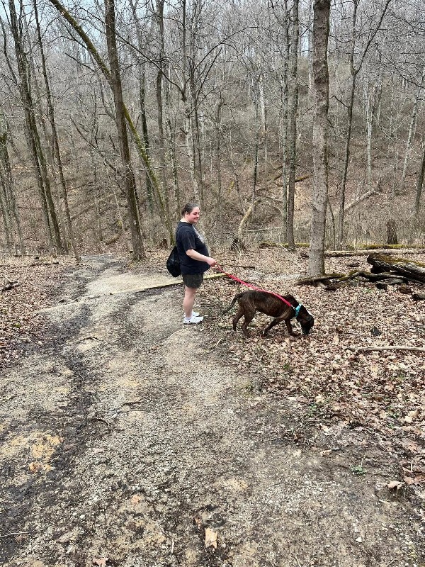 View Cousin Randy the Dog Photo #6