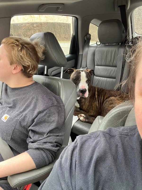 View Cousin Randy the Dog Photo #5