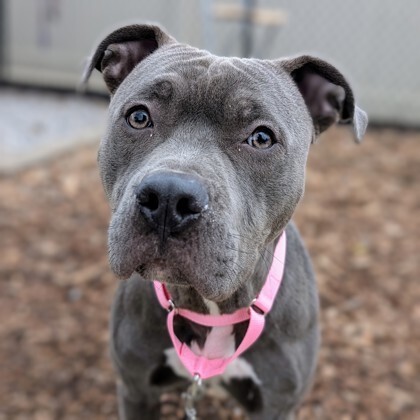 Learn More About Ambition 545786232 2806404839568479 6656635609664186167 n