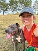 View Ambition the Dog Photo #2