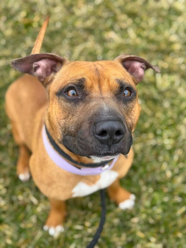 477584056 10107830863628793 665987289421118348 n (1)