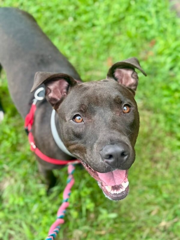 548193036 10108766358474623 1070187511533920931 n