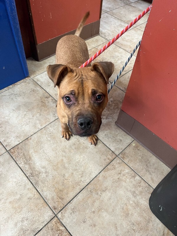 image2 2026 02 07T170811.639