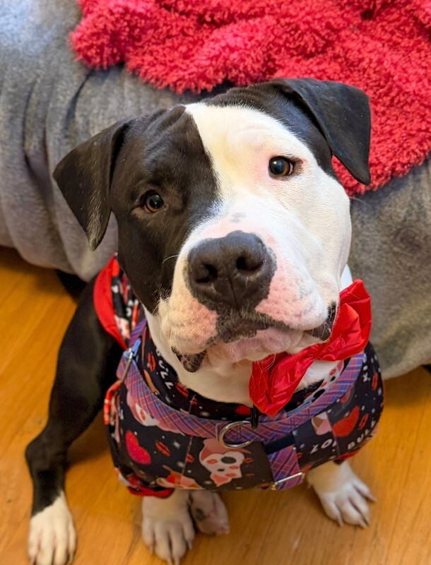 Learn More About Loki IMG 8584