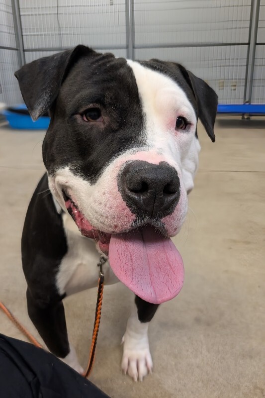 PXL 20260201 155609349~2