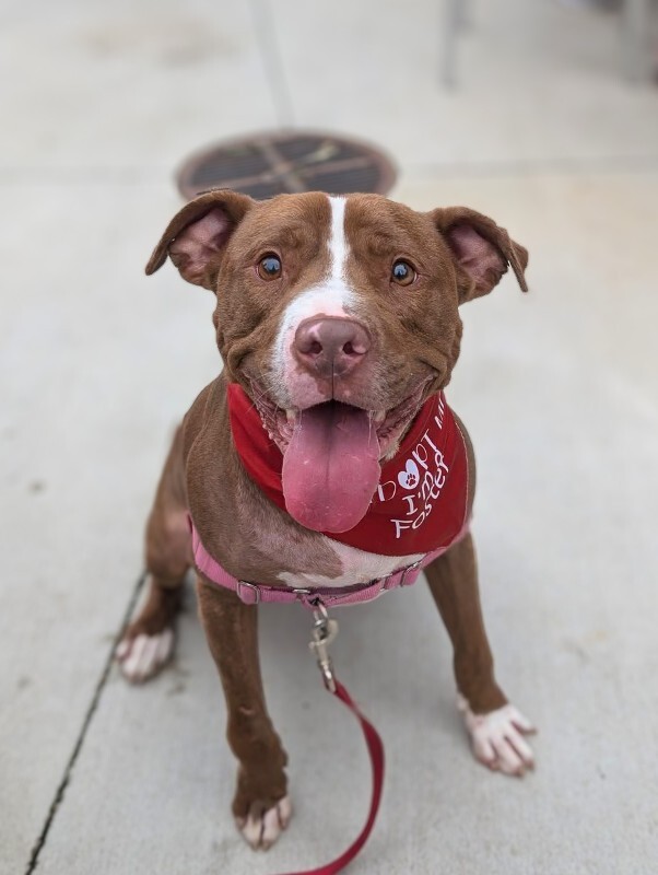 505380260 10160614433971307 1500801347279619117 n 2