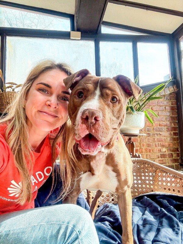 View Salisbury the Dog Photo #13