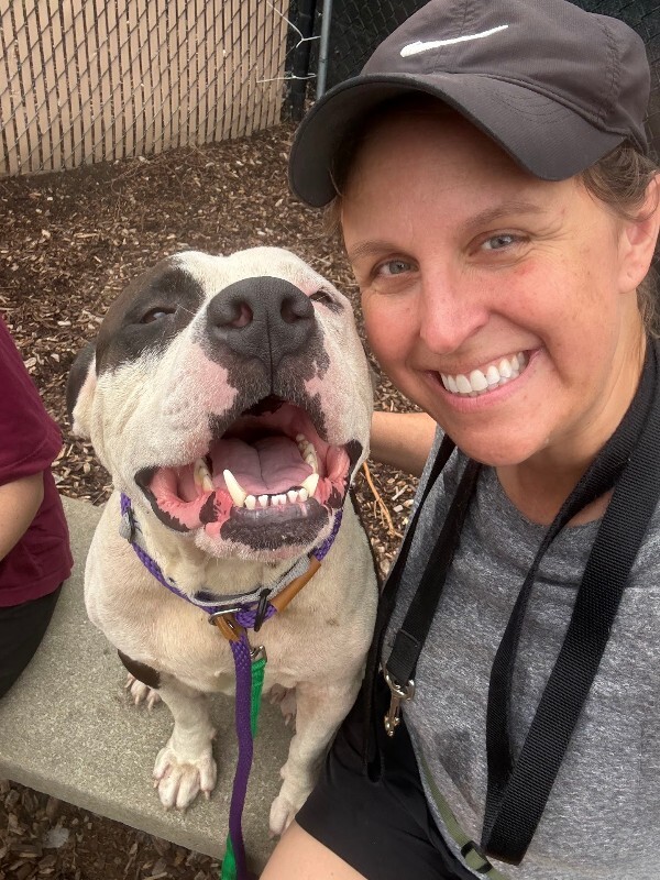 View Jango the Dog Photo #4