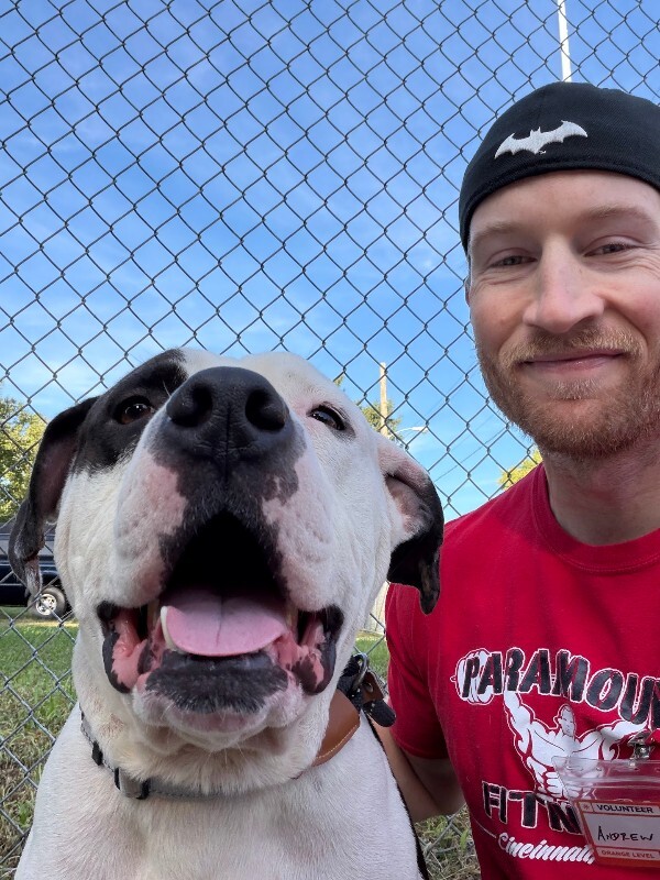 View Jango the Dog Photo #8