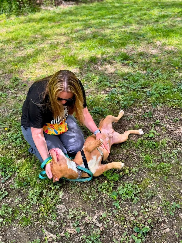 View Andor the Dog Photo #14