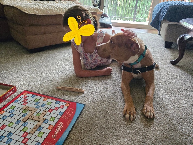 View Andor the Dog Photo #4