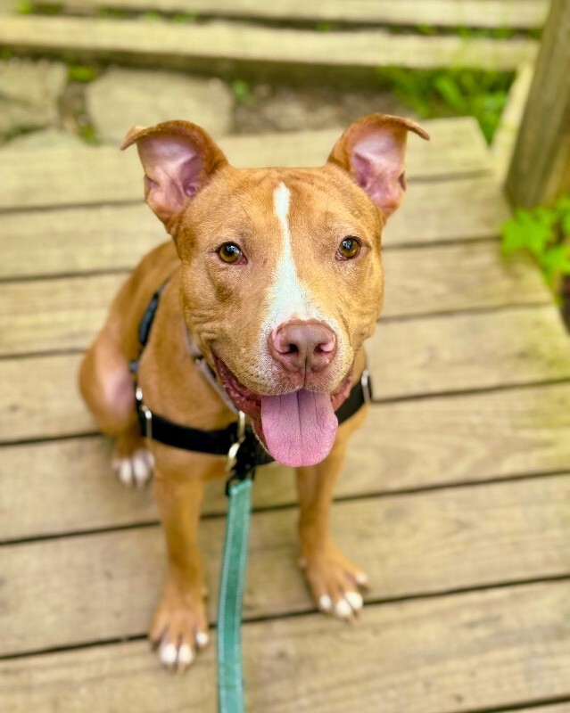 555549962 1140533131505090 3609337810112732272 n 2