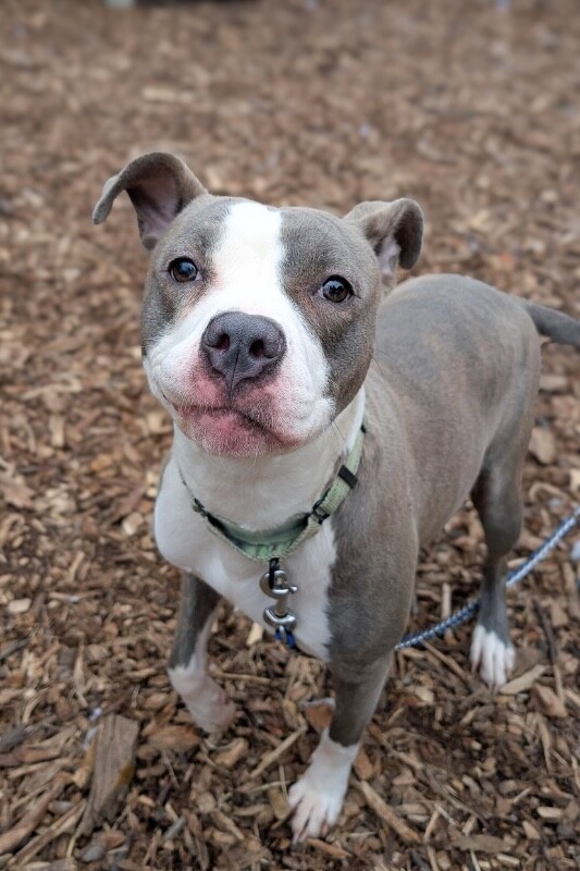 Learn More About Kalese PXL 20260116 210748227