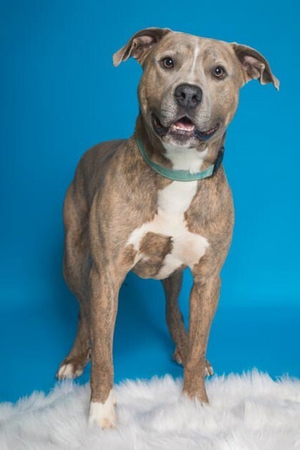 0da0158f 132b 48ca 86f1 5962a9780874