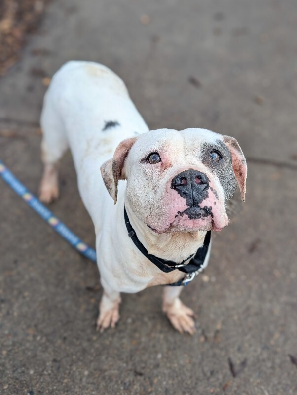 PXL 20251210 182717899 2