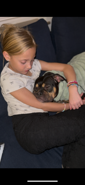 View Gabby the Dog Photo #8