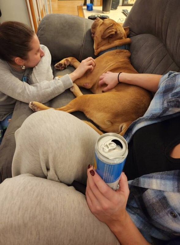 View Hairy Pawter the Dog Photo #12