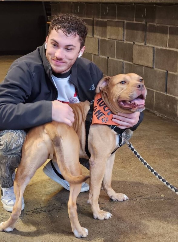 View Hairy Pawter the Dog Photo #10