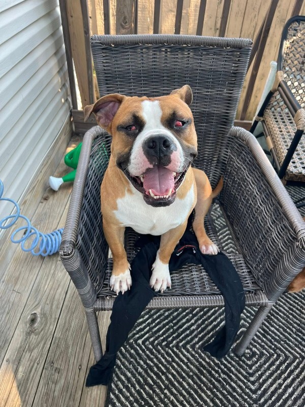 590351973 10237779616206351 7634566283162967864 n