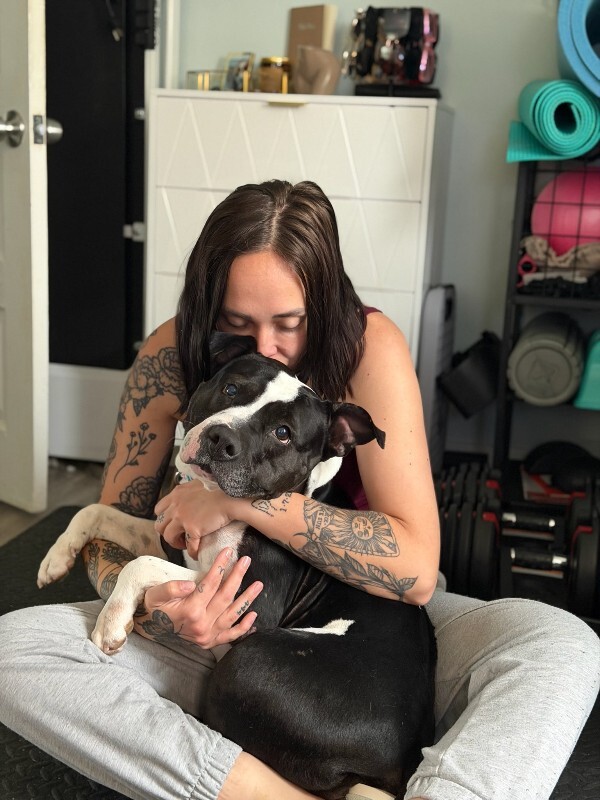 View Star the Dog Photo #5