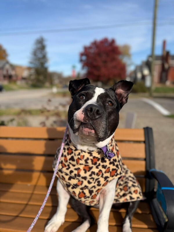 583098970 122143911290712597 7275700913856974662 n