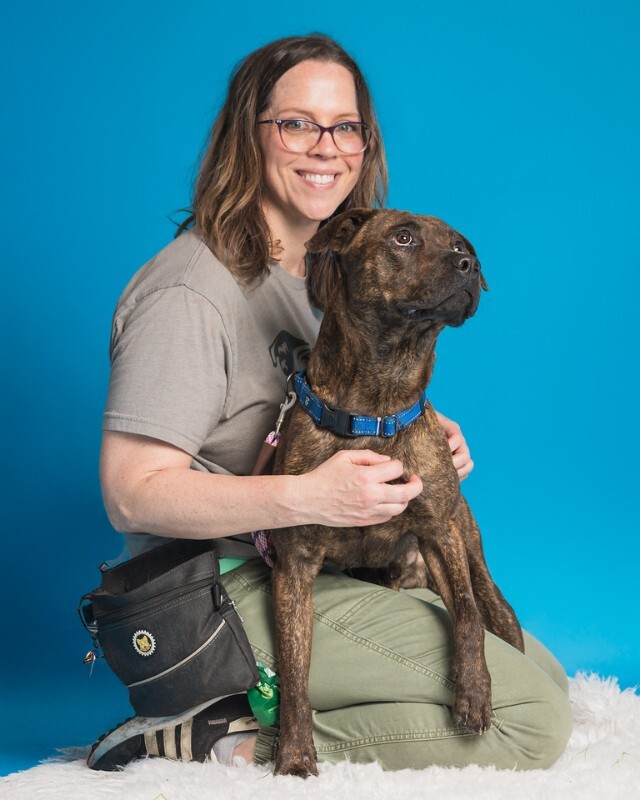 View Found Dog Photo #5