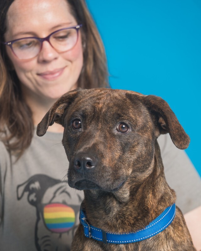 View Found Dog Photo #6