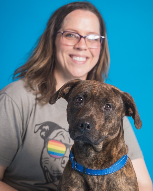 View Found Dog Photo #3