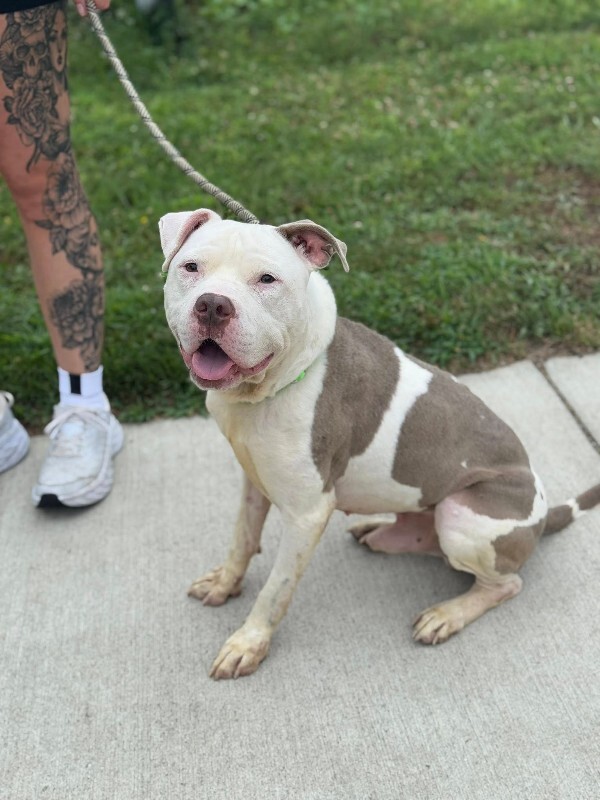 518321088 10162132038243509 8556122271119873439 n