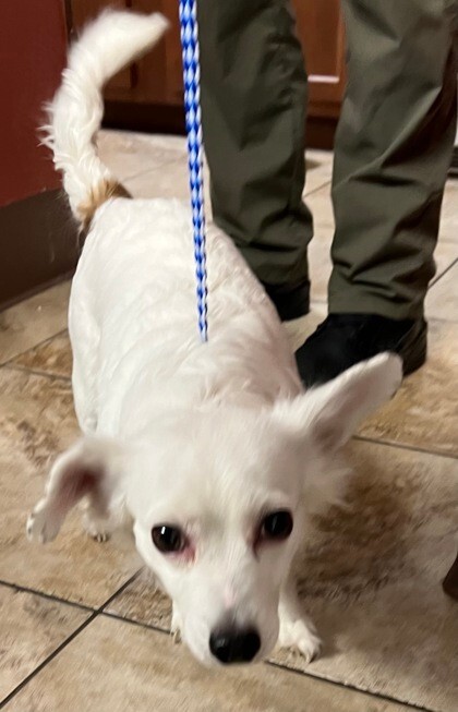 Learn More About Shelby 941010003456753