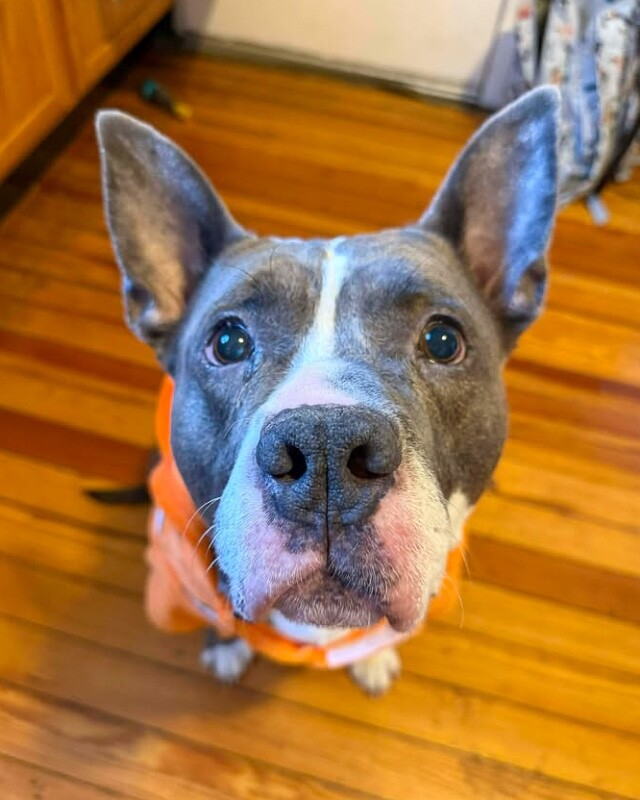 612036697 1922697554994346 5815081286743044138 n