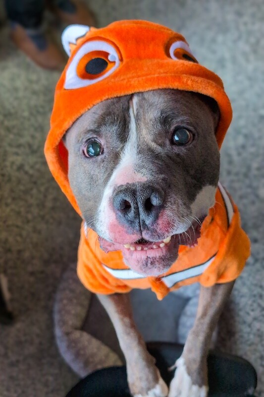 PXL 20251216 213534346