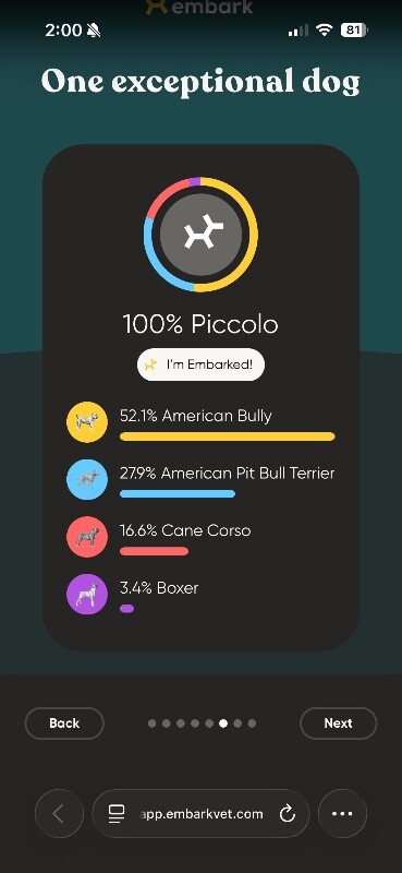 View Piccolo the Dog Photo #13