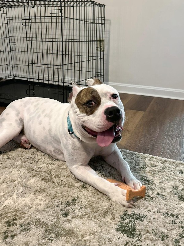 512658960 2163378250776631 301864458071555904 n 2