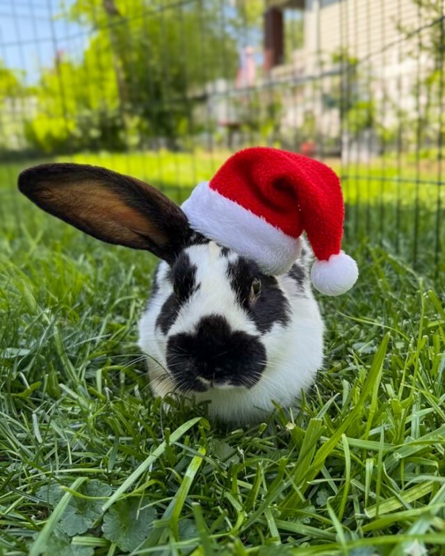 594960244 1195580582667011 8167493977647429895 n