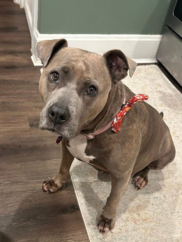 591735519 25121175797509216 2915869452288657143 n