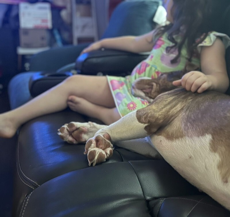 View Turner the Dog Photo #9