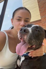 View Blues Clues the Dog Photo #2