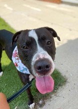 c4f3193a 890d 403e 9128 bc121eae3f0c tn1