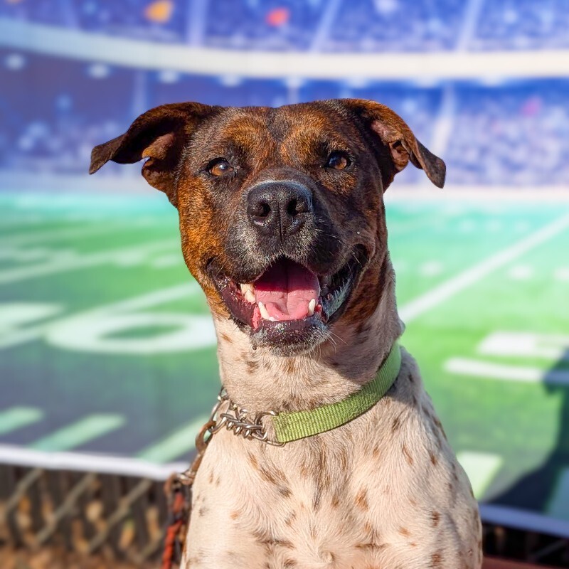 Learn More About Buena Vista 546405197 1129578925933844 1122190465139897463 n