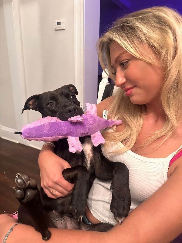 View Noodle the Dog Photo #2